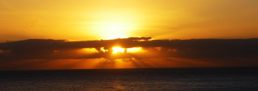 Madeira Reiseleistungen